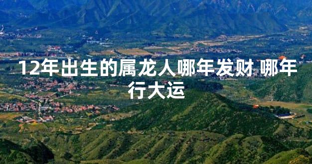 12年出生的属龙人哪年发财 哪年行大运